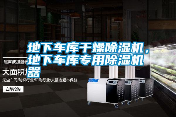 地下車庫(kù)干燥除濕機(jī)，地下車庫(kù)專用除濕機(jī)器