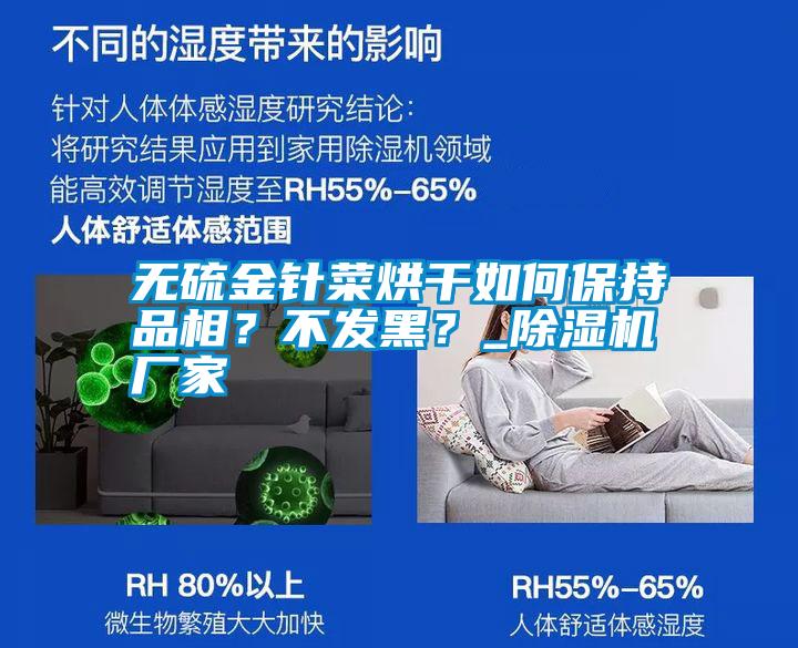 無硫金針菜烘干如何保持品相？不發(fā)黑？_除濕機廠家