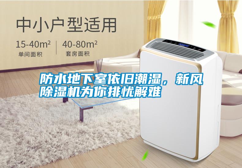 防水地下室依舊潮濕，新風(fēng)除濕機為你排憂解難