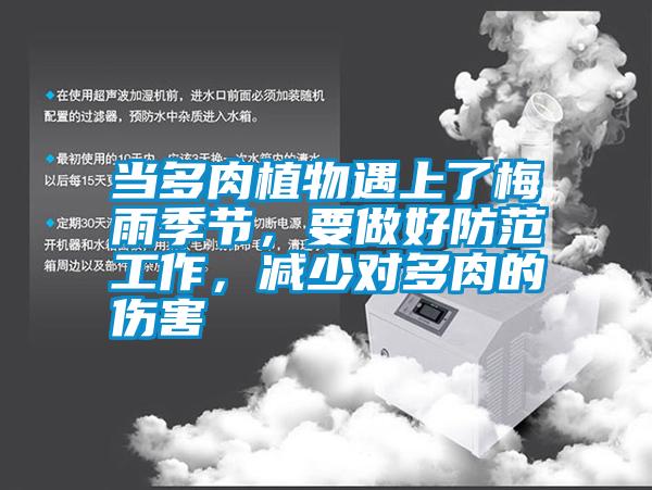 當(dāng)多肉植物遇上了梅雨季節(jié)，要做好防范工作，減少對多肉的傷害