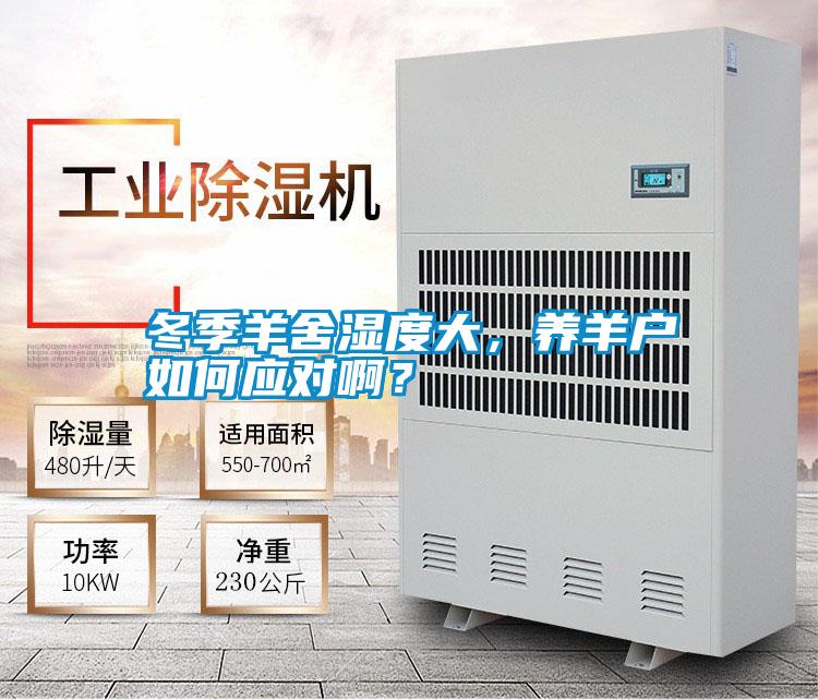 冬季羊舍濕度大，養(yǎng)羊戶如何應(yīng)對(duì)??？