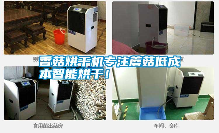 香菇烘干機(jī)專注蘑菇低成本智能烘干！