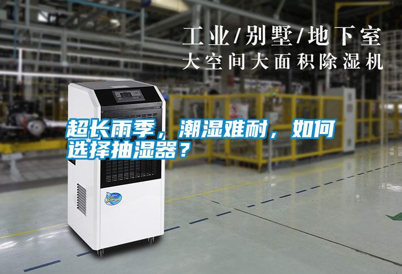 超長雨季，潮濕難耐，如何選擇抽濕器？