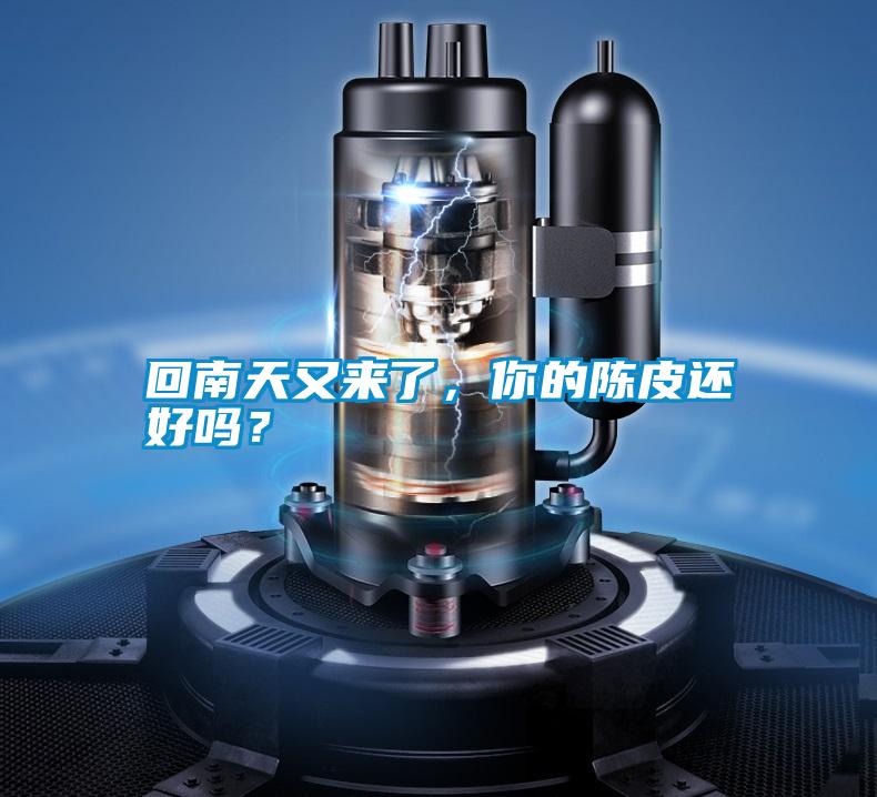 回南天又來了，你的陳皮還好嗎？