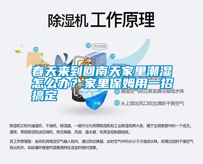 春天來(lái)到回南天家里潮濕怎么辦？家里保姆用一招搞定
