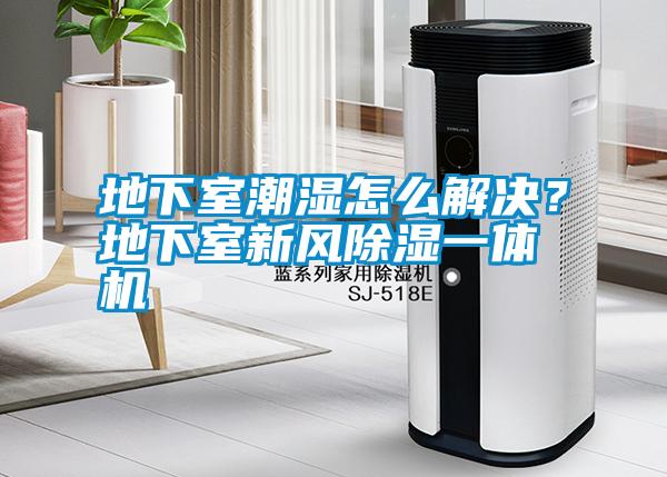 地下室潮濕怎么解決？地下室新風(fēng)除濕一體機