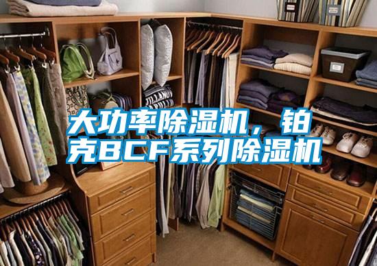 大功率除濕機，鉑克BCF系列除濕機