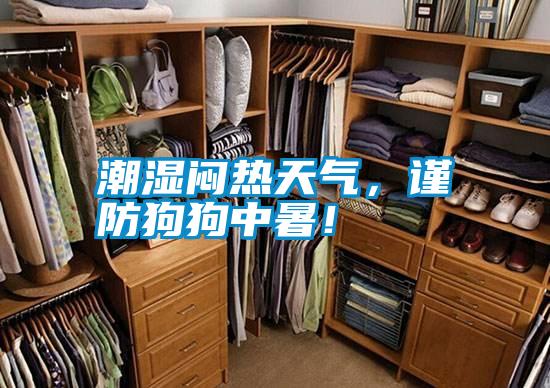 潮濕悶熱天氣，謹(jǐn)防狗狗中暑！