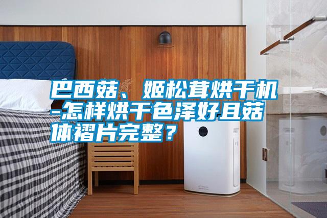 巴西菇、姬松茸烘干機(jī)-怎樣烘干色澤好且菇體褶片完整？