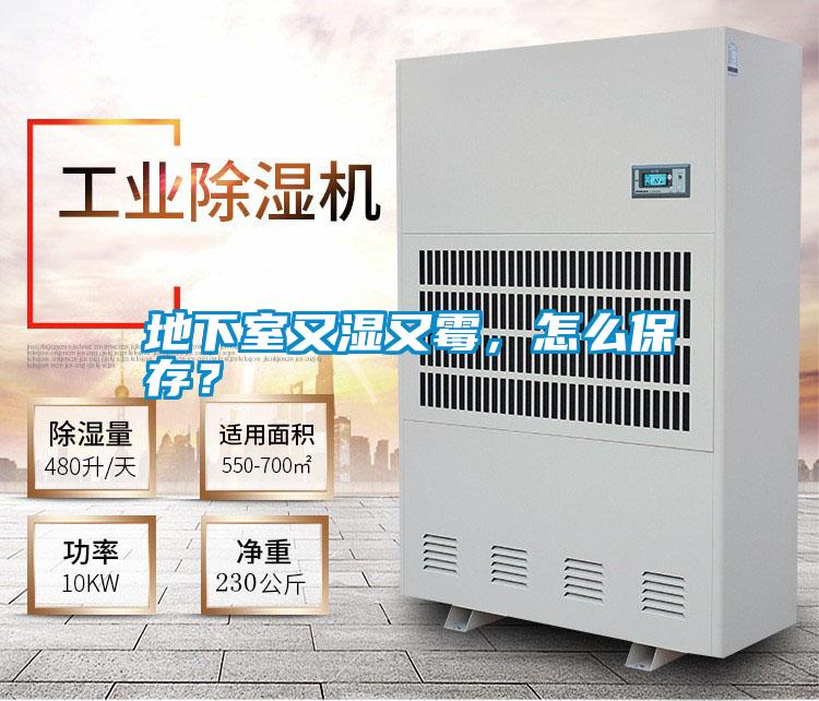 地下室又濕又霉，怎么保存？