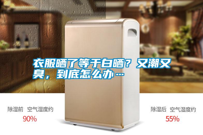 衣服曬了等于白曬？又潮又臭，到底怎么辦…