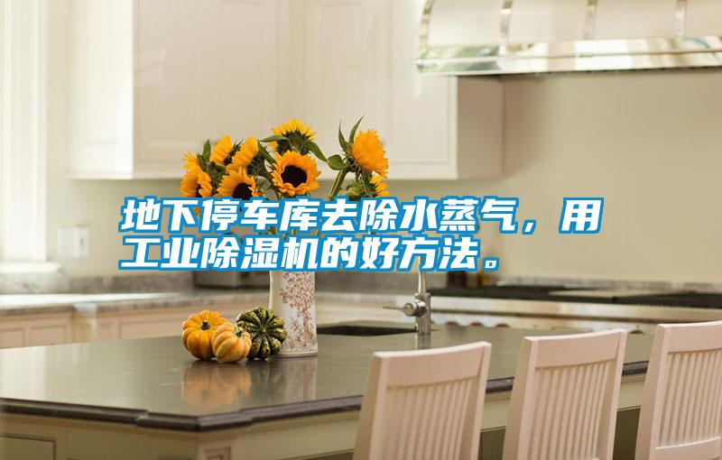地下停車庫去除水蒸氣，用工業(yè)除濕機的好方法。
