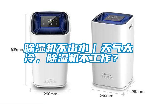 除濕機不出水｜天氣太冷，除濕機不工作？