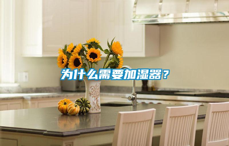 為什么需要加濕器？