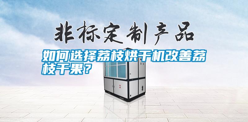 如何選擇荔枝烘干機(jī)改善荔枝干果？