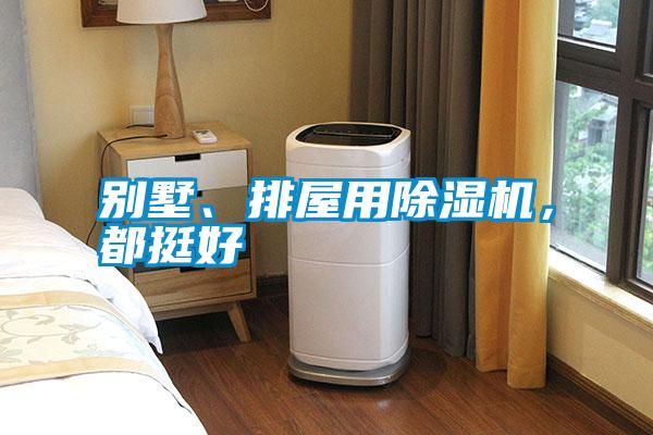 別墅、排屋用除濕機，都挺好