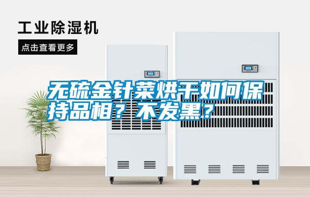 無硫金針菜烘干如何保持品相？不發(fā)黑？