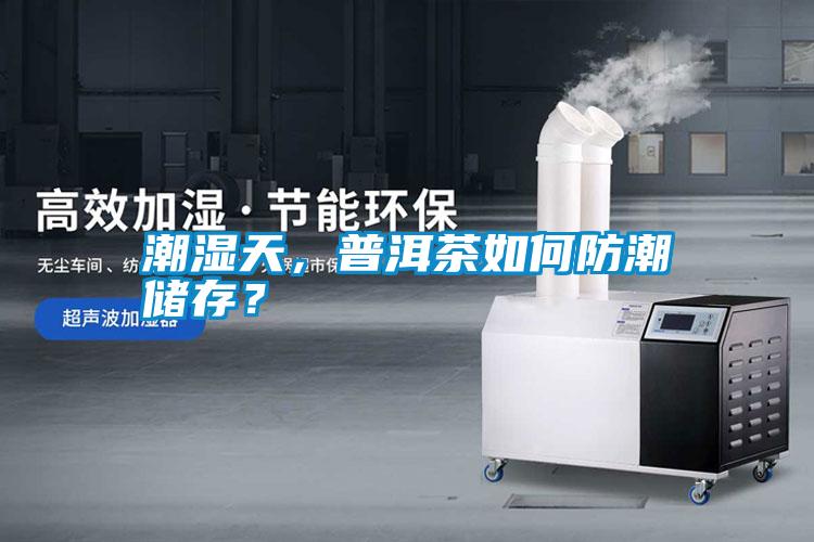 潮濕天，普洱茶如何防潮儲存？