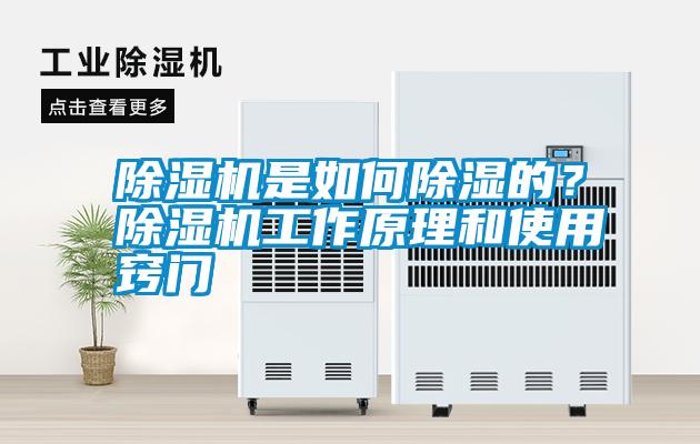 除濕機是如何除濕的？除濕機工作原理和使用竅門