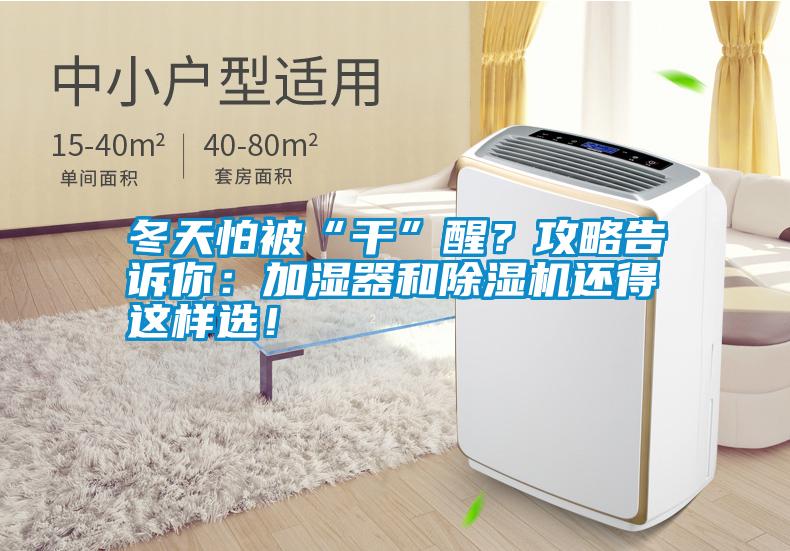 冬天怕被“干”醒？攻略告訴你：加濕器和除濕機還得這樣選！