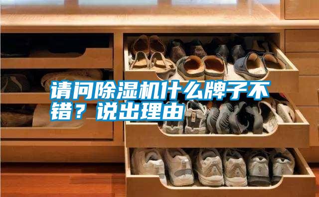 請(qǐng)問(wèn)除濕機(jī)什么牌子不錯(cuò)？說(shuō)出理由