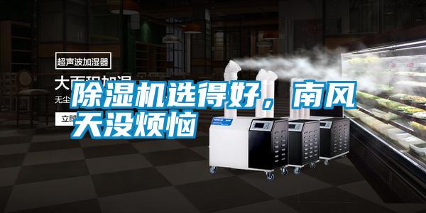 除濕機選得好，南風(fēng)天沒煩惱
