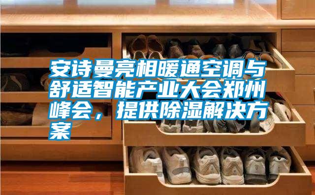 安詩曼亮相暖通空調與舒適智能產(chǎn)業(yè)大會鄭州峰會，提供除濕解決方案