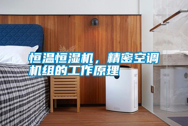 恒溫恒濕機，精密空調(diào)機組的工作原理