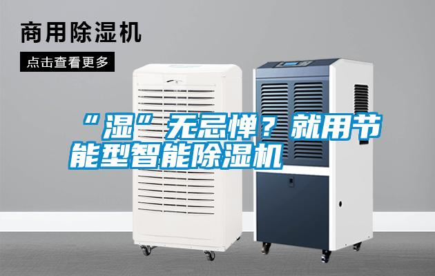 “濕”無忌憚？就用節(jié)能型智能除濕機