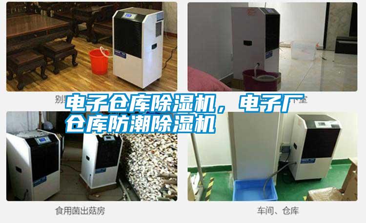 電子倉庫除濕機，電子廠倉庫防潮除濕機