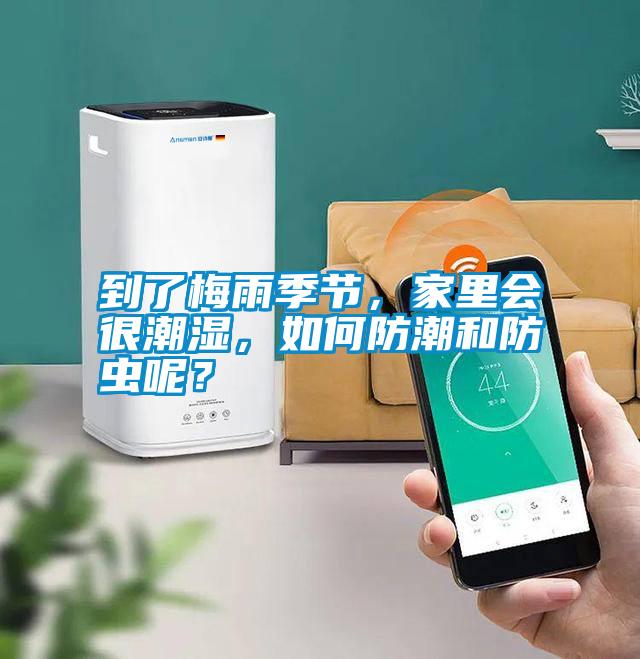 到了梅雨季節(jié)，家里會很潮濕，如何防潮和防蟲呢？