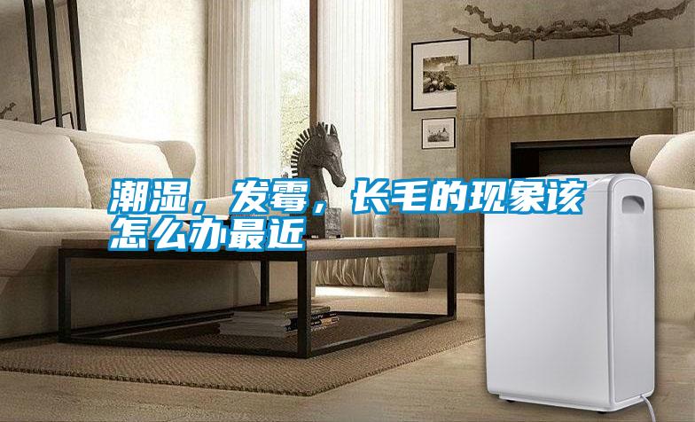潮濕，發(fā)霉，長毛的現(xiàn)象該怎么辦最近