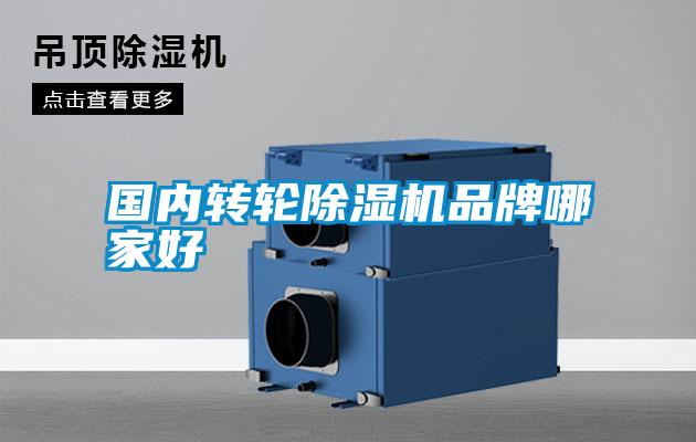 國內(nèi)轉(zhuǎn)輪除濕機品牌哪家好