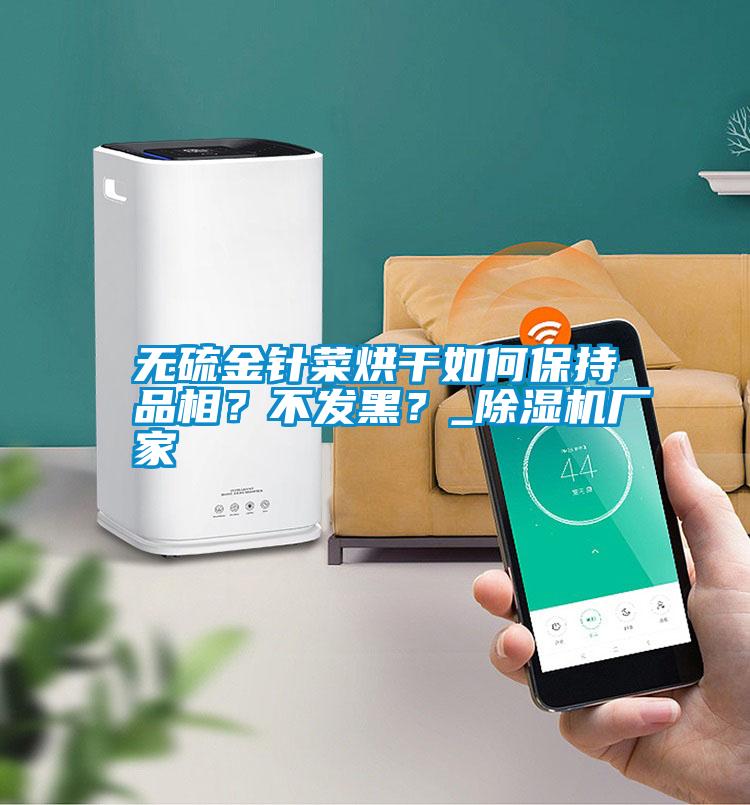 無硫金針菜烘干如何保持品相？不發(fā)黑？_除濕機廠家