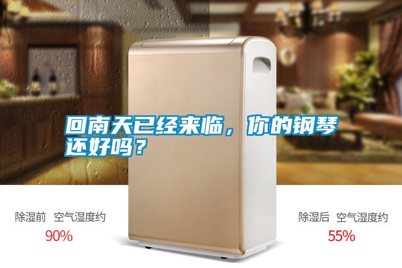 回南天已經(jīng)來(lái)臨，你的鋼琴還好嗎？