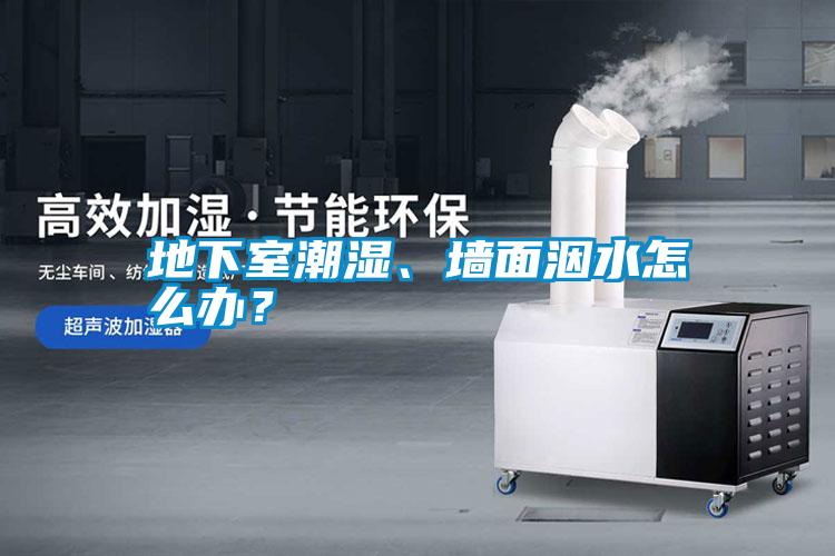 地下室潮濕、墻面洇水怎么辦？