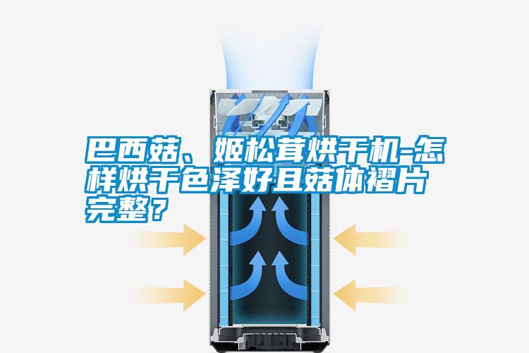 巴西菇、姬松茸烘干機(jī)-怎樣烘干色澤好且菇體褶片完整？