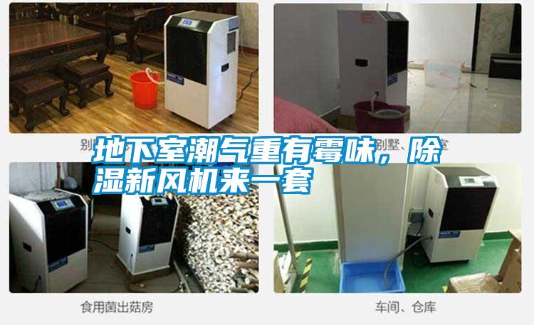 地下室潮氣重有霉味，除濕新風(fēng)機(jī)來一套