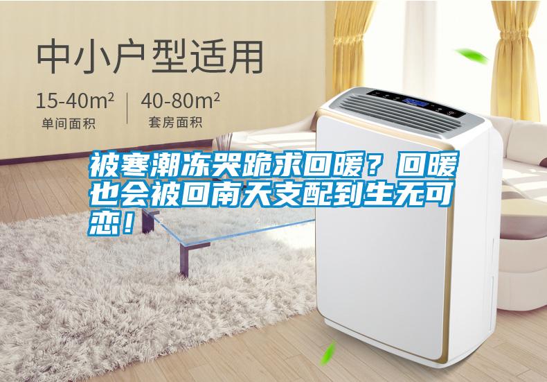 被寒潮凍哭跪求回暖？回暖也會(huì)被回南天支配到生無(wú)可戀！