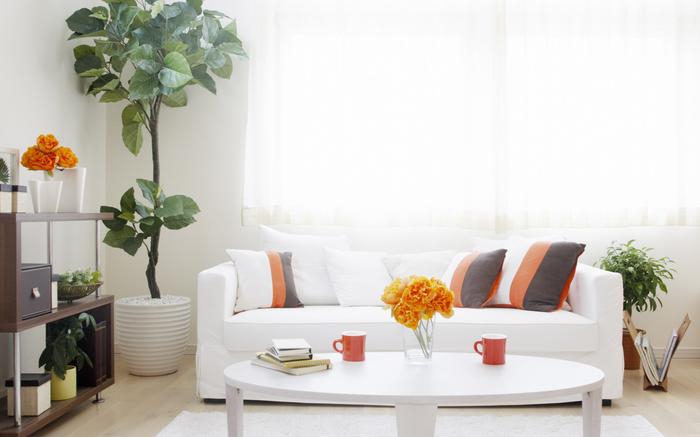 除濕機和空氣凈化器有什么不同？教你如何選擇這兩者！