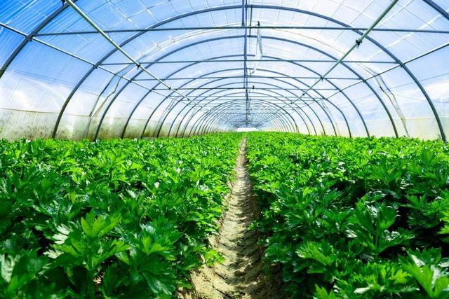 除濕機—溫室大棚的溫濕控制系統(tǒng)_重復(fù)