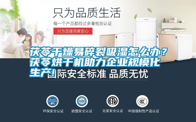 茯苓干燥易碎裂吸濕怎么辦？茯苓烘干機(jī)助力企業(yè)規(guī)模化生產(chǎn)!