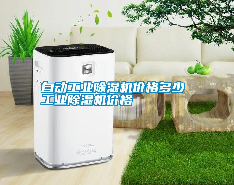 自動工業(yè)除濕機價格多少 工業(yè)除濕機價格