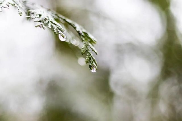 空氣濕度大帶來(lái)的危害有哪些，你知道嗎？