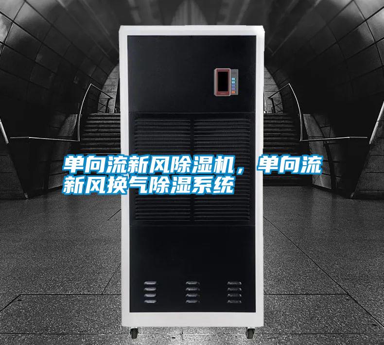 單向流新風(fēng)除濕機(jī)，單向流新風(fēng)換氣除濕系統(tǒng)