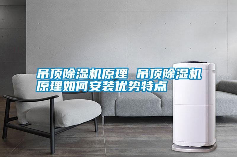 吊頂除濕機(jī)原理 吊頂除濕機(jī)原理如何安裝優(yōu)勢特點(diǎn)
