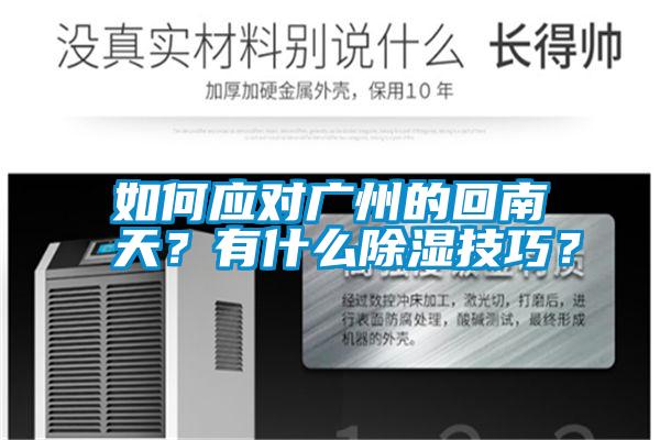 如何應對廣州的回南天？有什么除濕技巧？