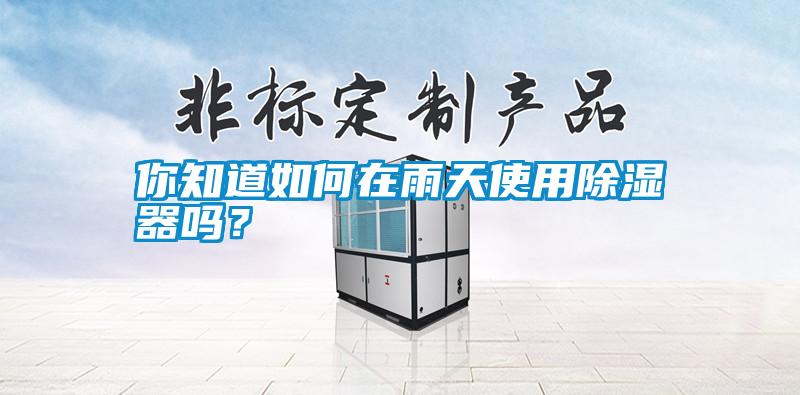 你知道如何在雨天使用除濕器嗎？