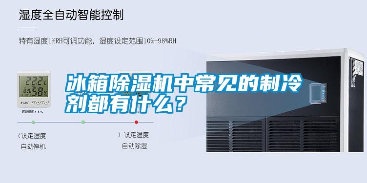 冰箱除濕機中常見的制冷劑都有什么？