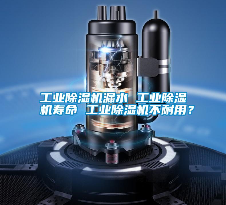工業(yè)除濕機(jī)漏水 工業(yè)除濕機(jī)壽命 工業(yè)除濕機(jī)不耐用？